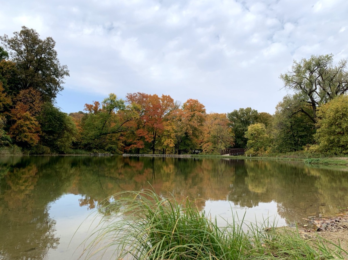 Meditation for October 5, 2021