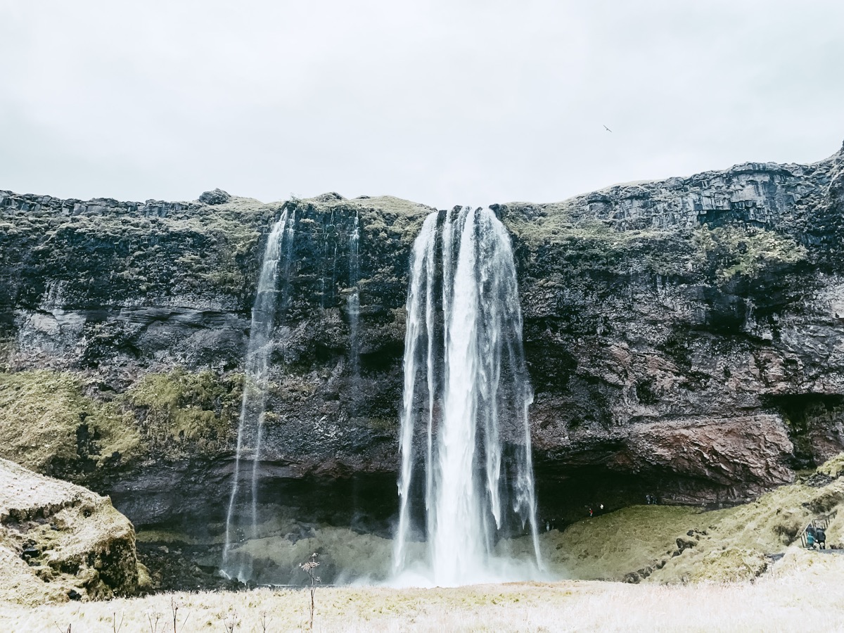 Meditation for December 22, 2021
