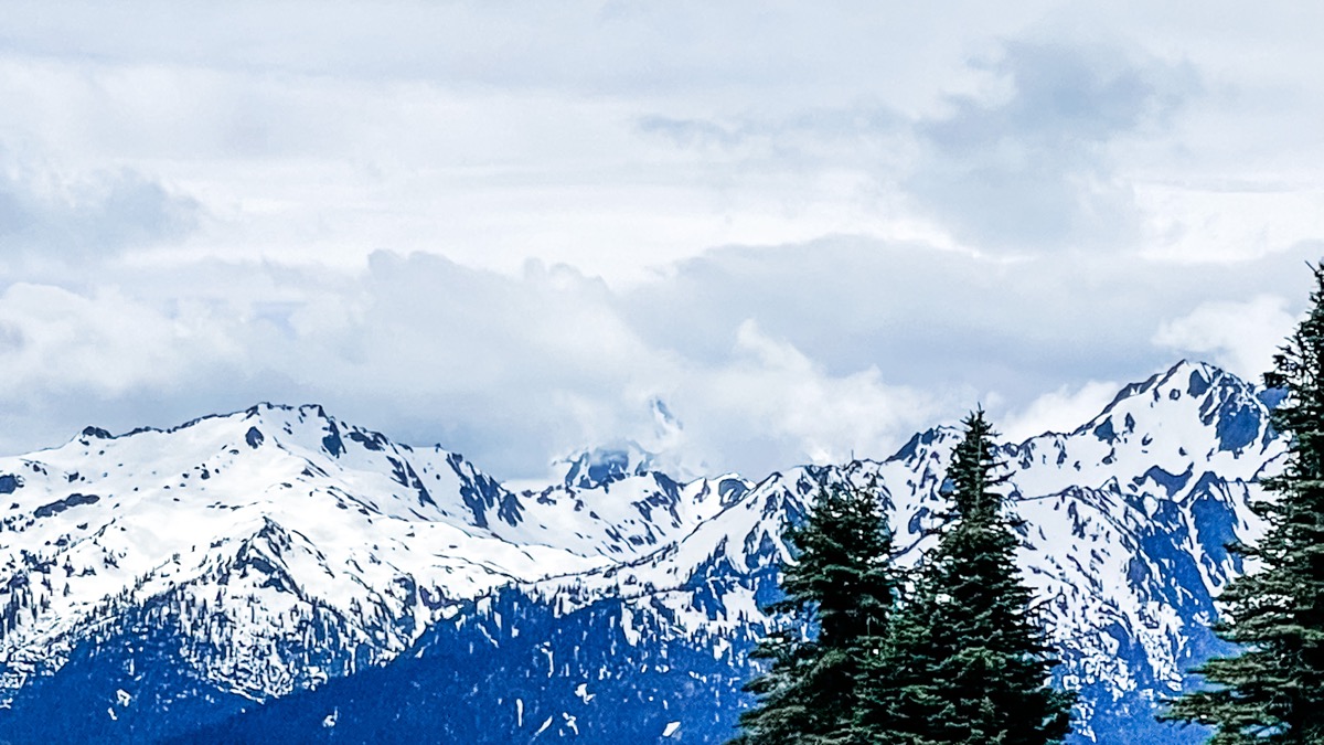 Meditation for June 20, 2021