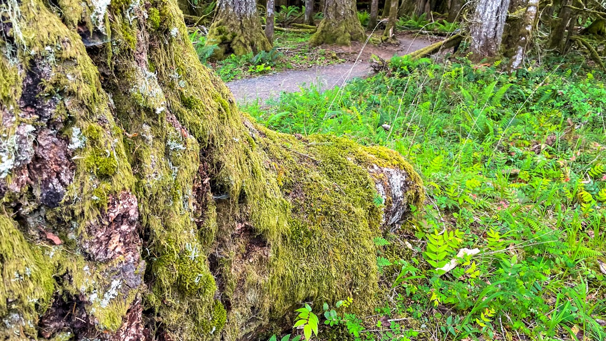 Meditation for July 12, 2021