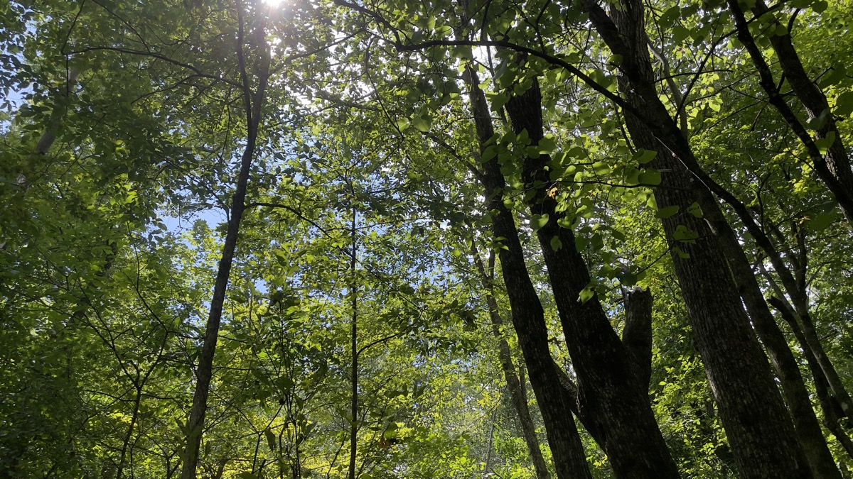Meditation for August 27, 2021