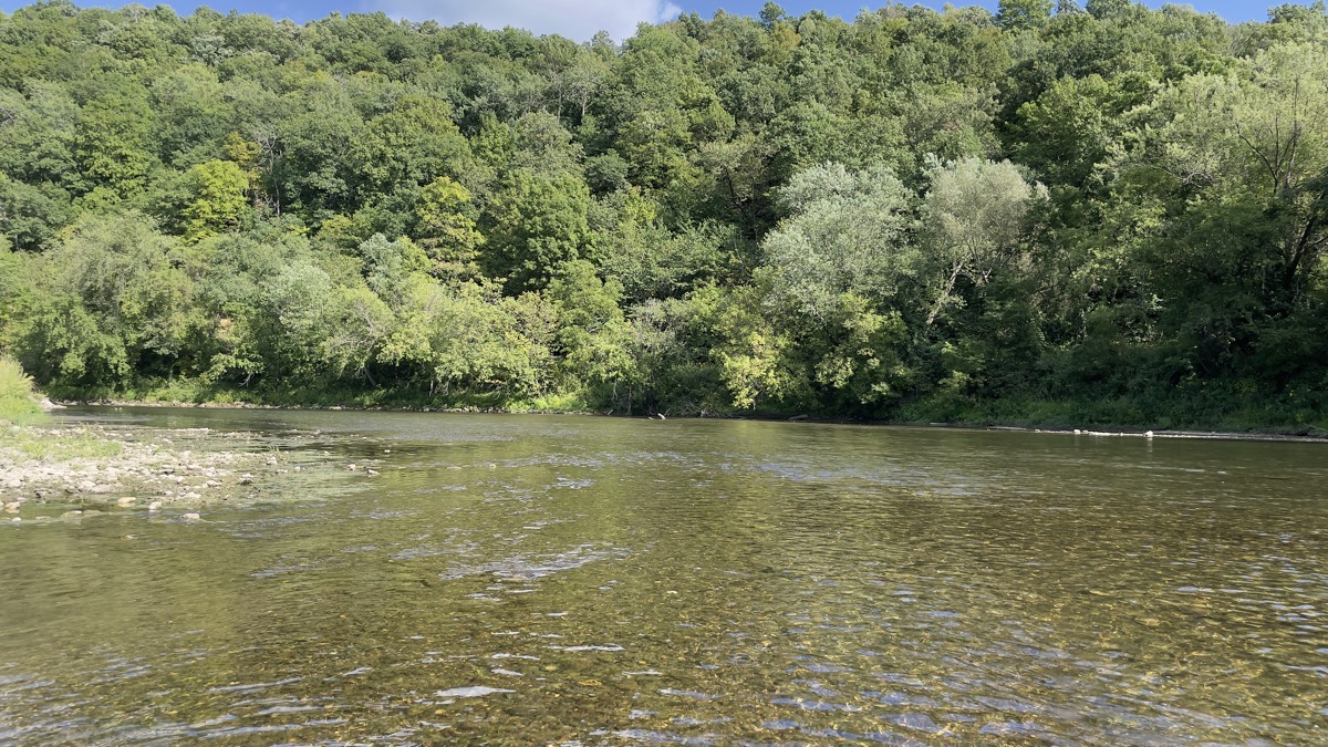 Meditation for September 8, 2021