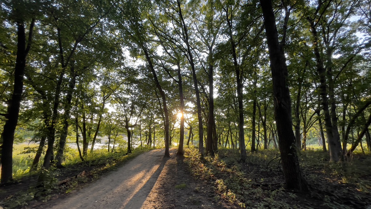 Meditation for September 17, 2021